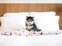 Mama Shelter Paris East - Hôtel - Paris