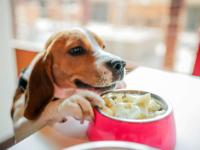 ibis Rodez Centre - Hôtel - Rodez