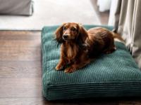 Le Louise Hotel Brussels - MGallery Collection - Hôtel - BRUSSELS