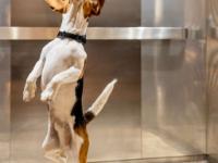 ibis Étampes - Hôtel - Étampes